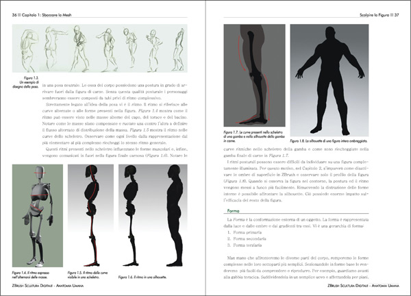 ZBrush Scultura Digitale - Anatomia Umana - pagine 36 - 37
