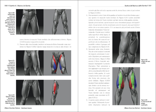 ZBrush Scultura Digitale - Anatomia Umana - pagine 250 - 251